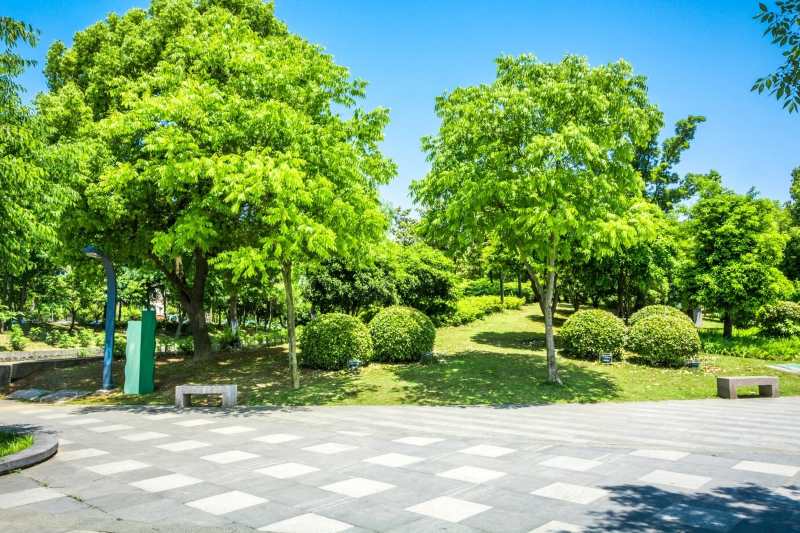 Green Aura Pune Farmhouse Plotting Project